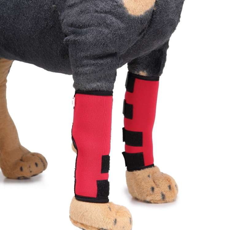 Pet Knee Pads Dog Leg Guards Pet Protective Gear Surgery Injury Sheath, Size: L(HJ29 Reflective With