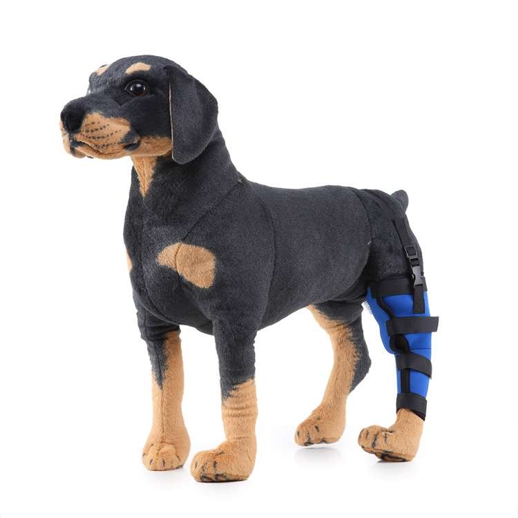 HJ19 Pet Surgery Rehabilitation Back Leg Protector Walking Aids, Size: XS(Black Right Back Leg)