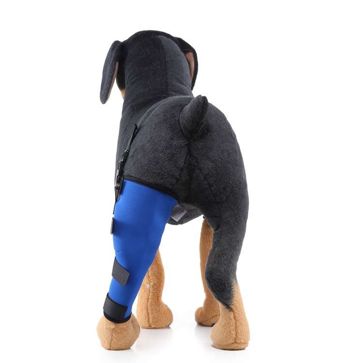 HJ19 Pet Surgery Rehabilitation Back Leg Protector Walking Aids, Size: M(Black Left Back Leg)