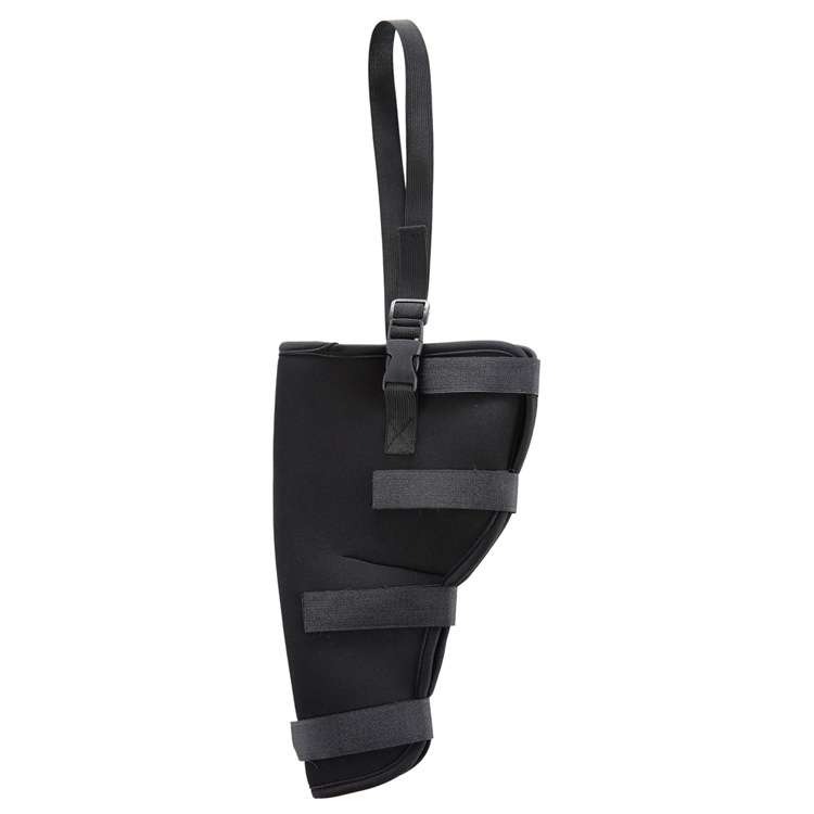 HJ19 Pet Surgery Rehabilitation Back Leg Protector Walking Aids, Size: M(Black Left Back Leg)