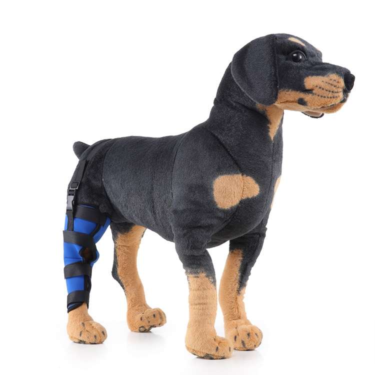 HJ19 Pet Surgery Rehabilitation Back Leg Protector Walking Aids, Size: M(Black Left Back Leg)