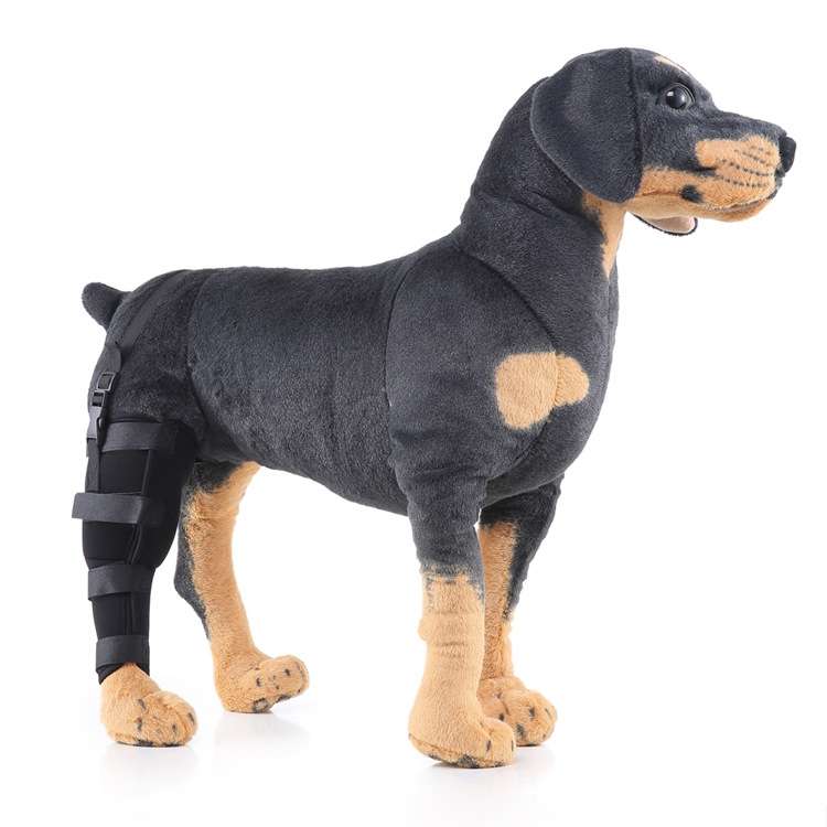 HJ19 Pet Surgery Rehabilitation Back Leg Protector Walking Aids, Size: L(Black Left Back Leg)
