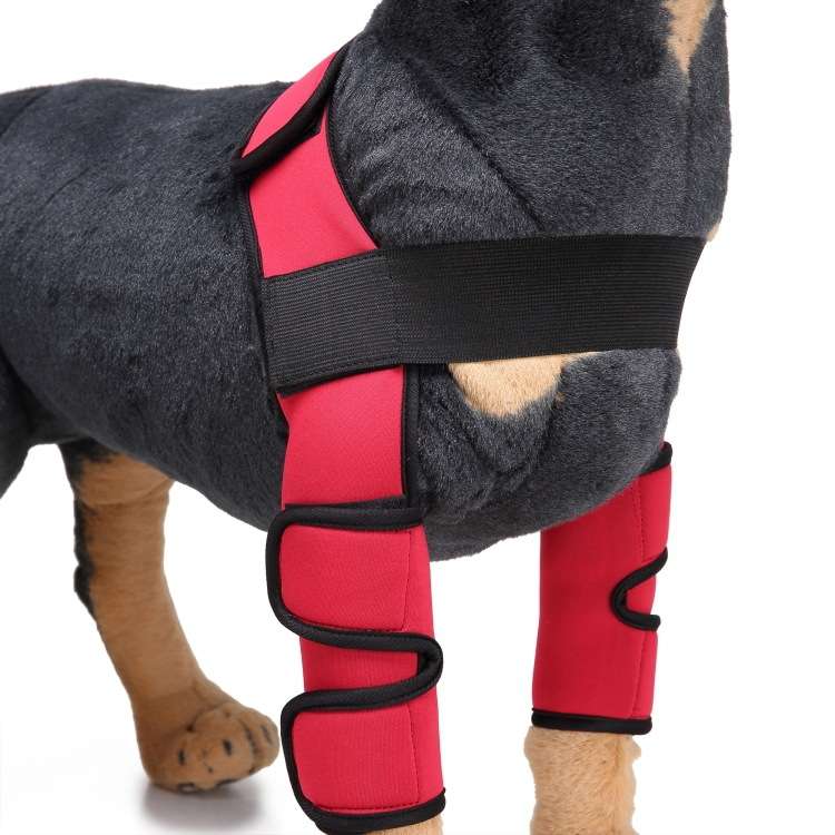 Pet Dog Leg Knee Guard Surgery Injury Protective Cover, Size: M(Support Strips Model (Black))