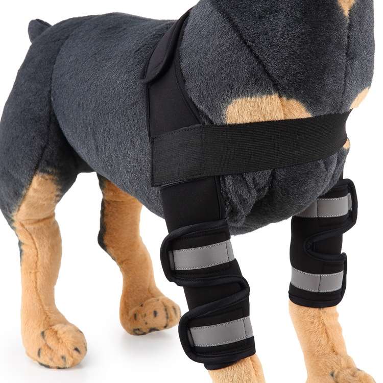 Pet Dog Leg Knee Guard Surgery Injury Protective Cover, Size: M(Support Strips Model (Black))