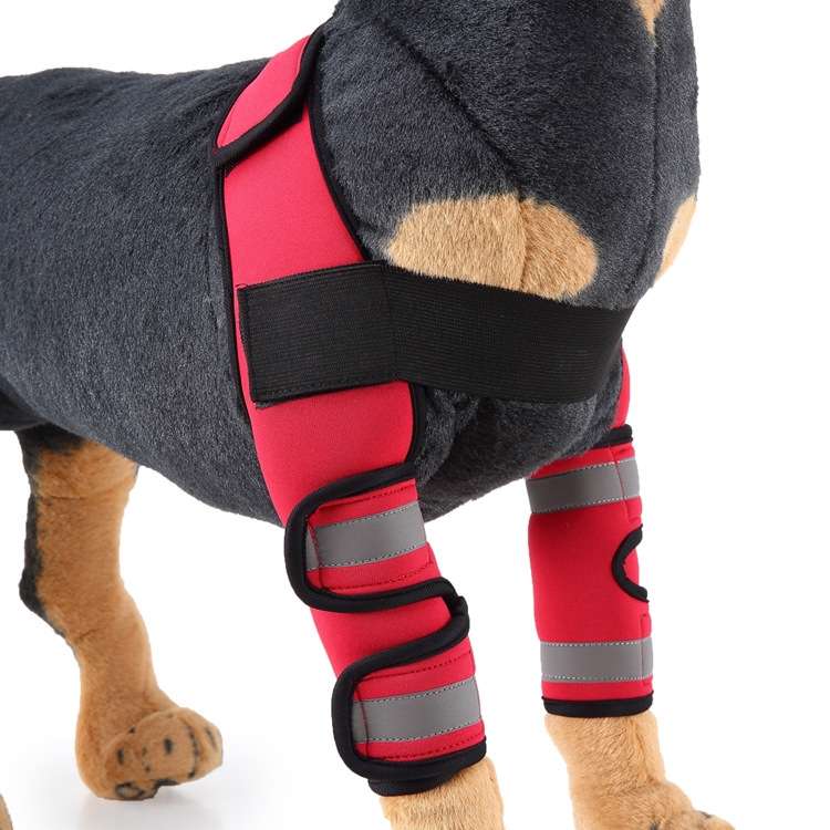 Pet Dog Leg Knee Guard Surgery Injury Protective Cover, Size: M(Support Strips Model (Black))