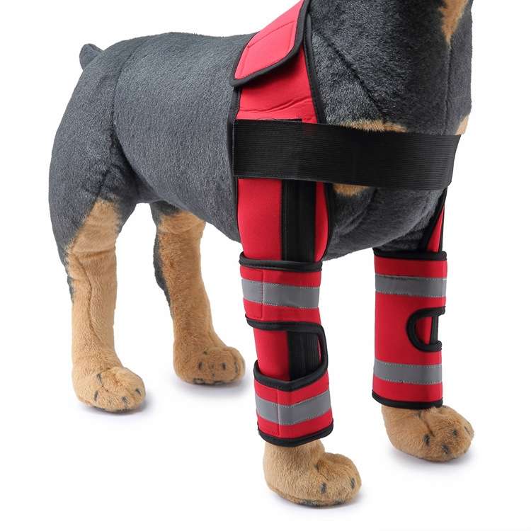 Pet Dog Leg Knee Guard Surgery Injury Protective Cover, Size: M(Support Strips Model (Black))
