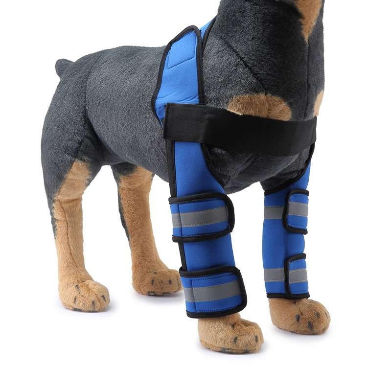 Pet Dog Leg Knee Guard Surgery Injury Protective Cover, Size: M(Support Strips Model (Black))