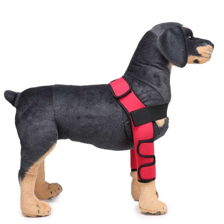Pet Dog Leg Knee Guard Surgery Injury Protective Cover, Size: L(Support Strips Model (Blue))