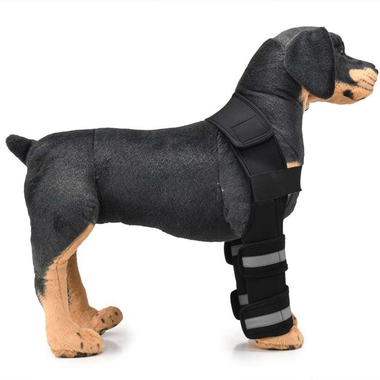 Pet Dog Leg Knee Guard Surgery Injury Protective Cover, Size: L(Support Strips Model (Blue))