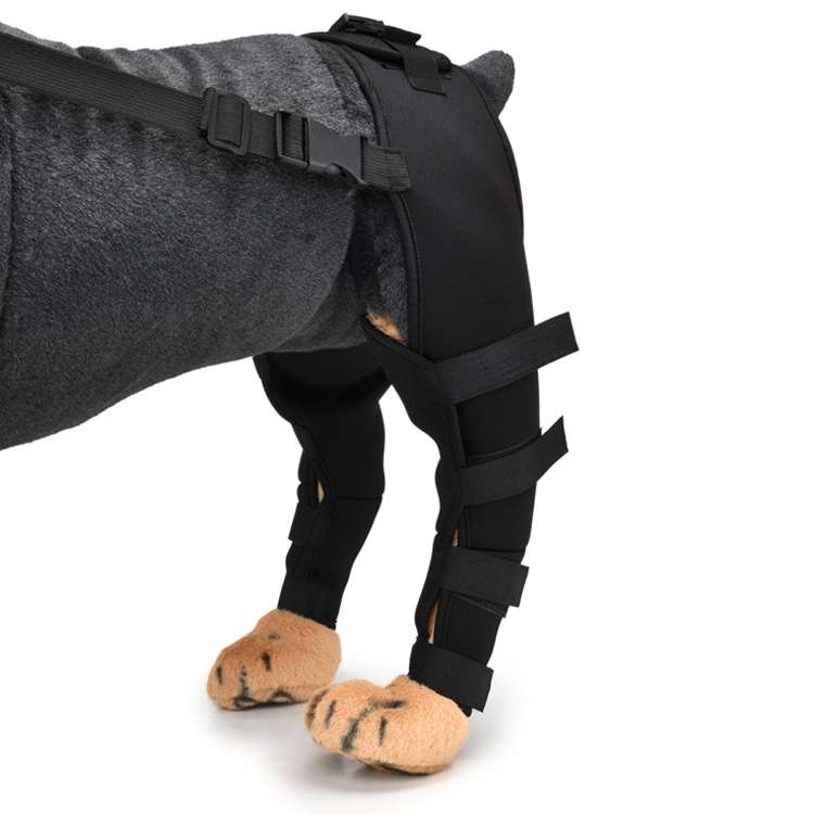 Pet Dog Leg Knee Guard Surgery Injury Protective Cover, Size: XS(Red)