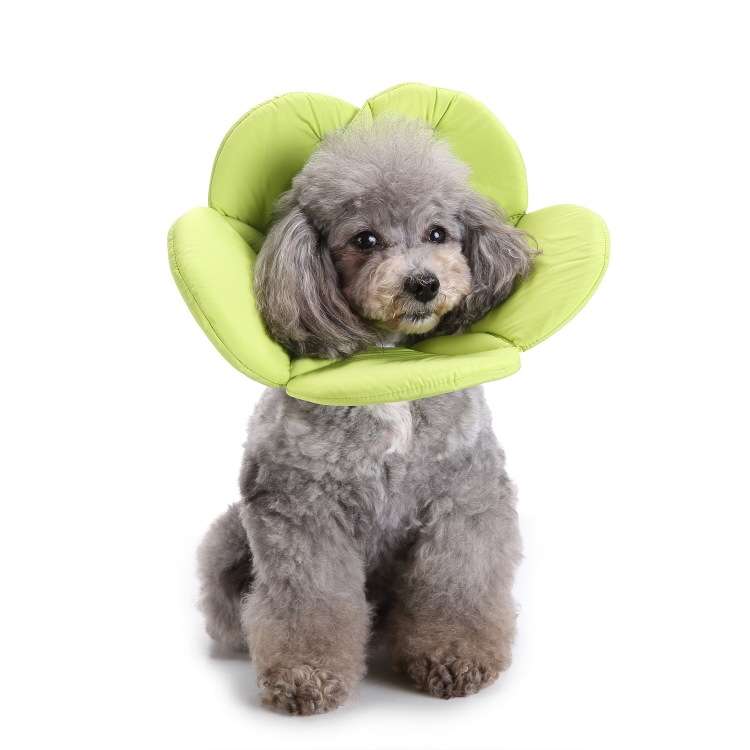Pet Protection Collar Dog Flower Protection Collar, Specification: M(Rainbow)