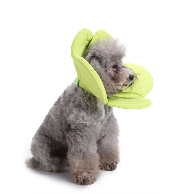 Pet Protection Collar Dog Flower Protection Collar, Specification: M(Rainbow)