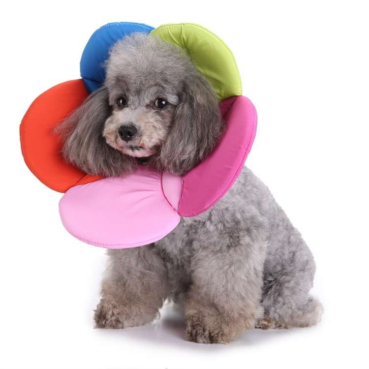 Pet Protection Collar Dog Flower Protection Collar, Specification: M(Rainbow)