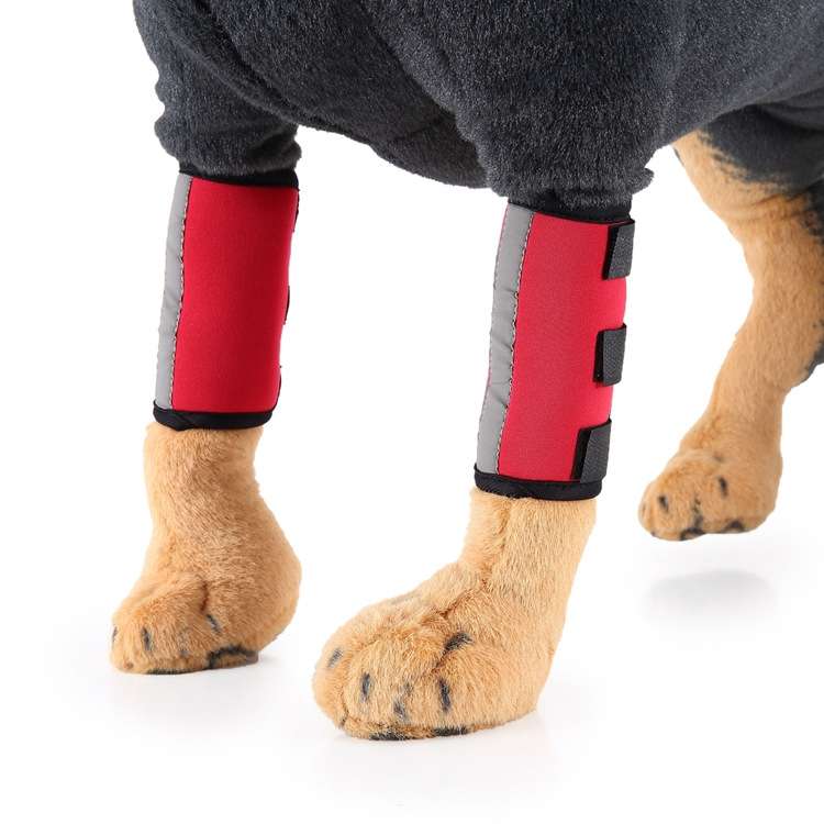 Pet Knee Protector Dog Surgery Injury Protective Cover, Size: S(Blue Reflection)