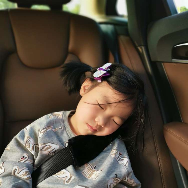 2 Pairs Fleece-like Safety Belt Cover Car Plush Safety Belt Cover(Black)