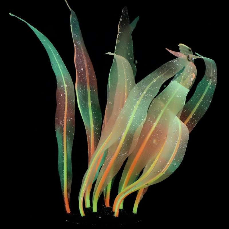 Aquarium Fish Tank Decoration Landscape Silicone Simulation Coral Artificial Kelp Landscape Decorati