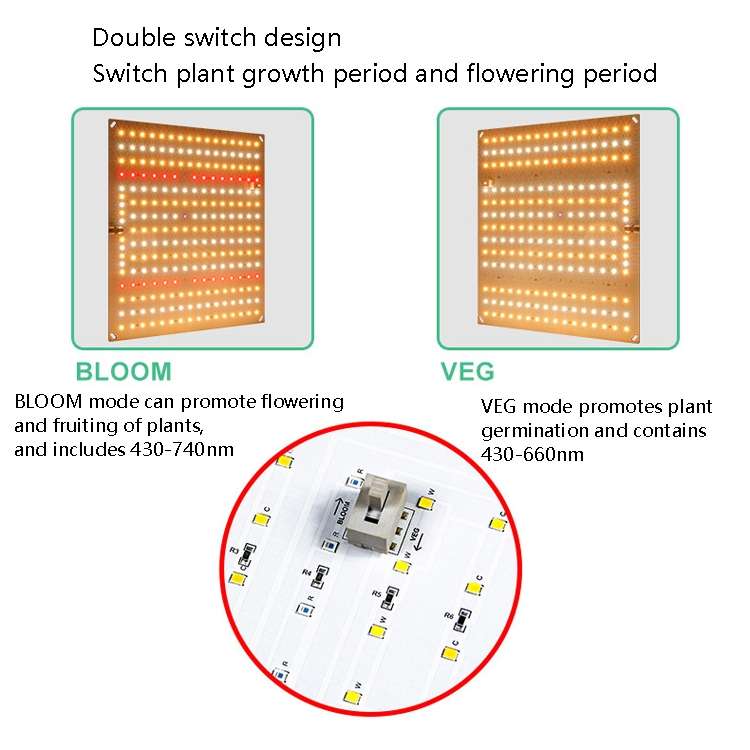 LED Plant Fill Light Full-Spectral Greenhouse Lighting Growth Light, Power: H2 234 Leds 50W(EU Plug)