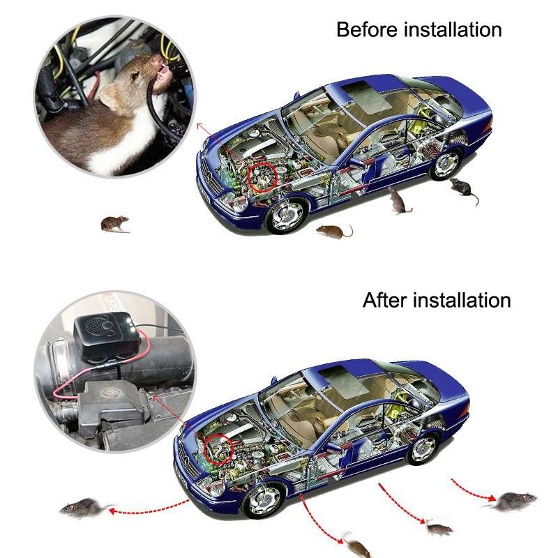 532 Vehicle Ultrasonic Mouse Repeller(Black)