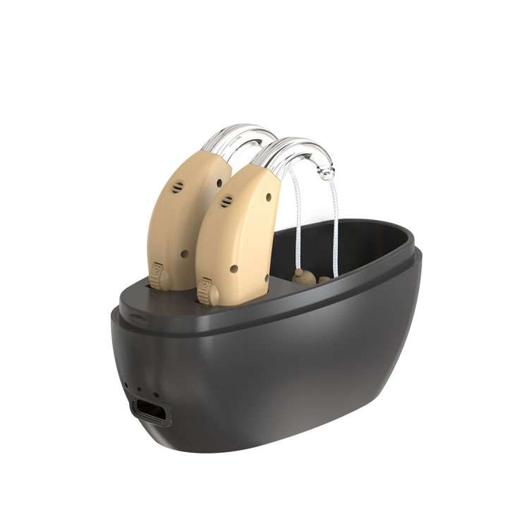 Elderly Use Can Charge Sound Amplifier Hearing Aid, Specification: EU Plug(Blue Double Machine+Black