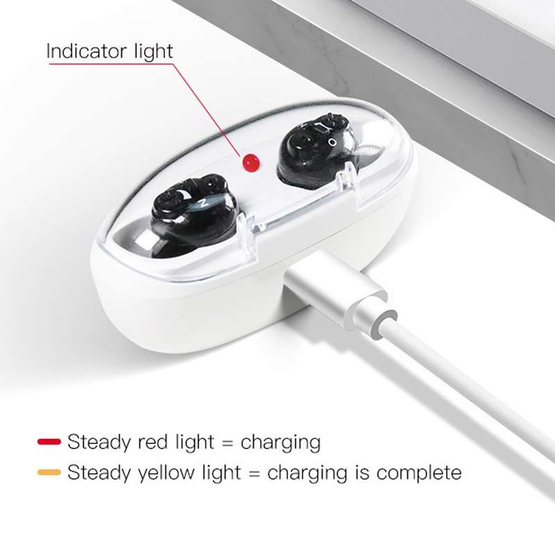 Magnetic Charge Dual-unit Sound Collector, Specification: EU Plug(Black)