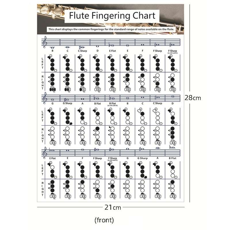Coated Paper Flute Chord Fingering Practice Chart Staff Chord Fingering(Large)