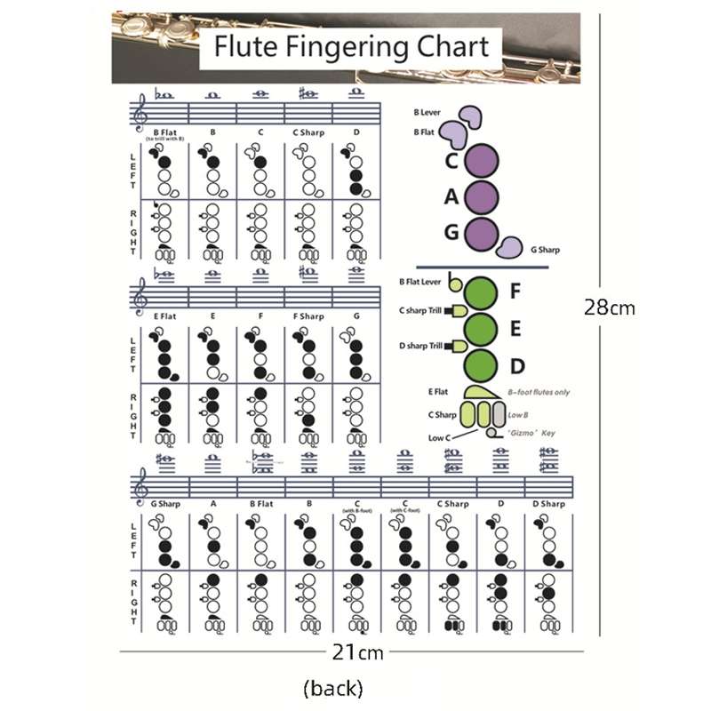 Coated Paper Flute Chord Fingering Practice Chart Staff Chord Fingering(Large)