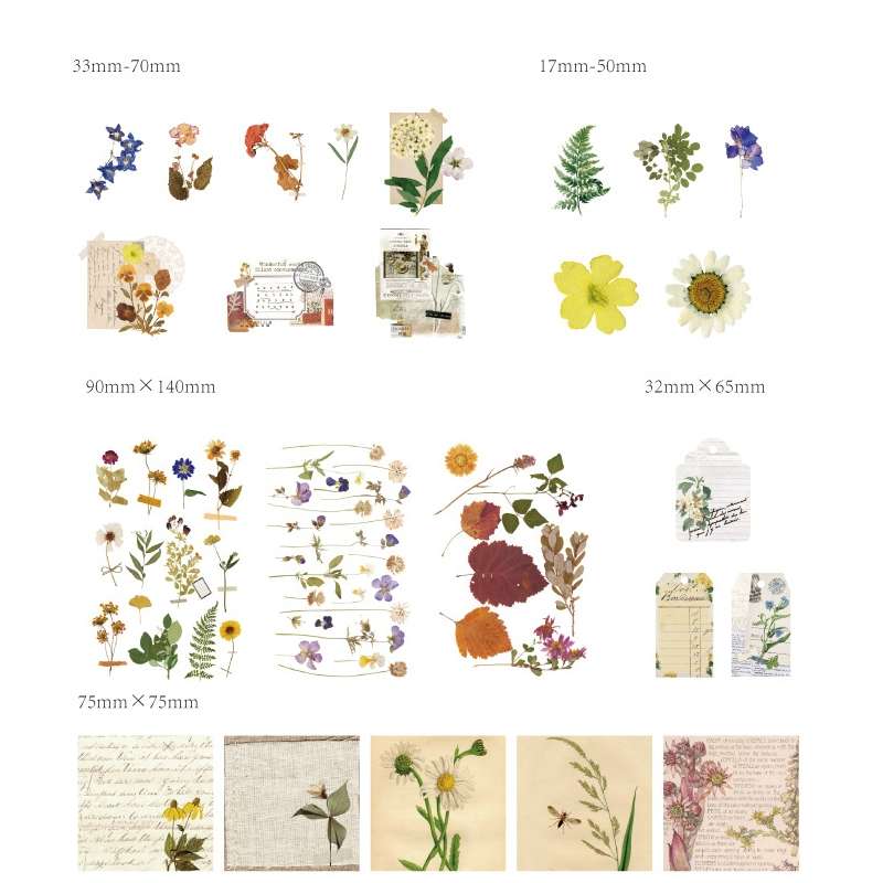 2sets 30 In 1 Vintage Collection Room Series Handbook Stickers Notes Packet(Mountains and Raw Moon N