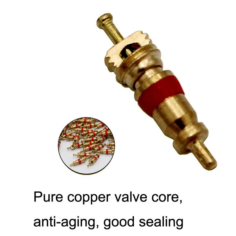 10pcs /Set Valve Core Gas Needle Car Tires Universal Vacuum Tire Exhaust Valve(Pure Copper)