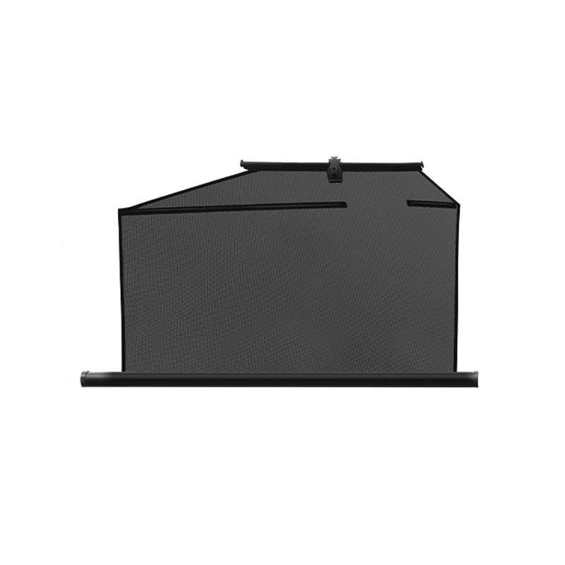 Automobile Automatic Lift Glass Window Sunshade, Specification: Right Window