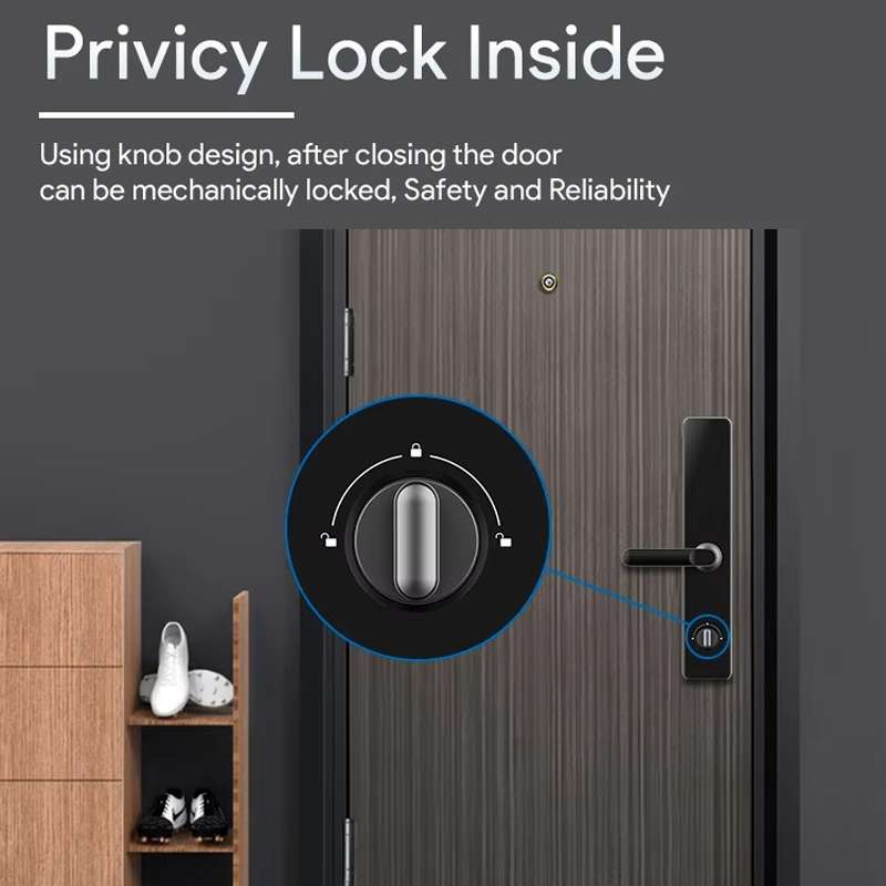 A60 Smart Fingerprint Password Door Lock With Doorbell, Spec: Basic Version Gray