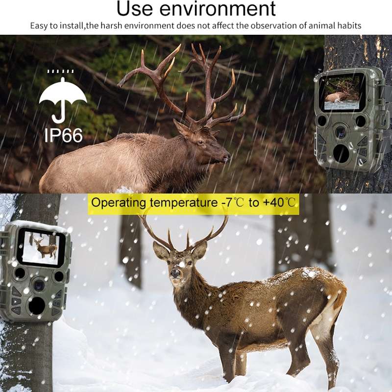 H511C HD Outdoor Hunting Camera Night Vision Monitoring Animal Infrared Sensing Camera