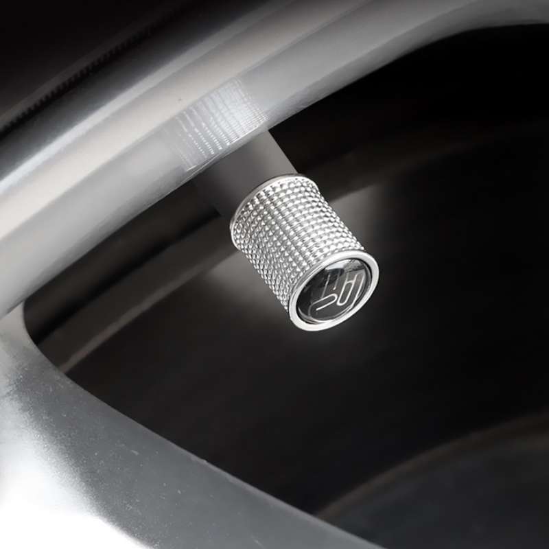 4pcs /Set Zinc Alloy Car Tire Modified Valve Cap(Silver)