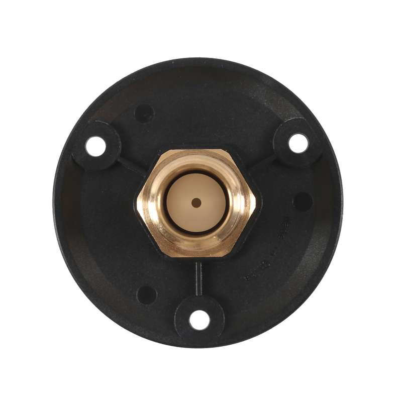 Brass Water Inlet Check Valve For Yacht RV With Adapter(Black)