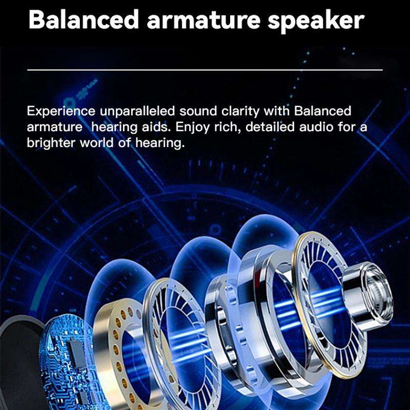 Neck-hanging 16-channel Bluetooth Hearing Aid Rechargeable Sound Amplifier for The Elderly(Black)