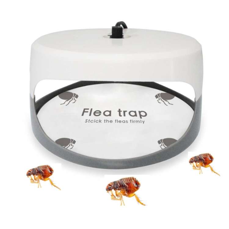 Flea Trap Pet Home Flea Lamp, Plug Type:EU Plug