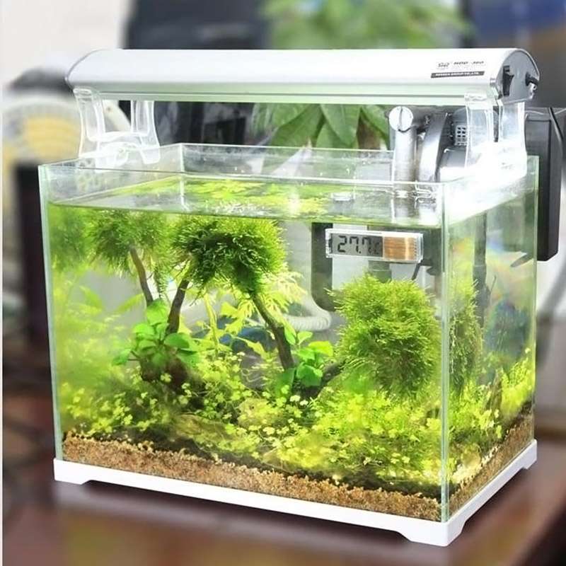Multi-Functional LCD 3D Digital Electronic Temperature Measurement Fish Tank Aquarium Thermometer(Go