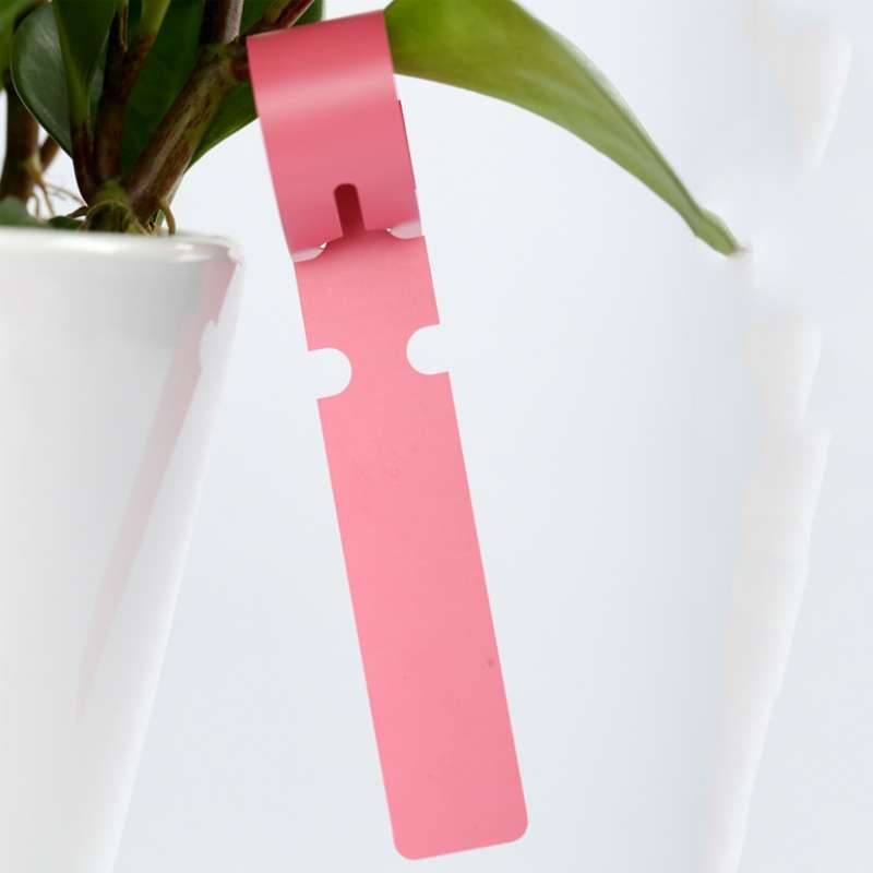 100 PCS Gardening Plant Sapling Seed Hanging Tree Label(White)