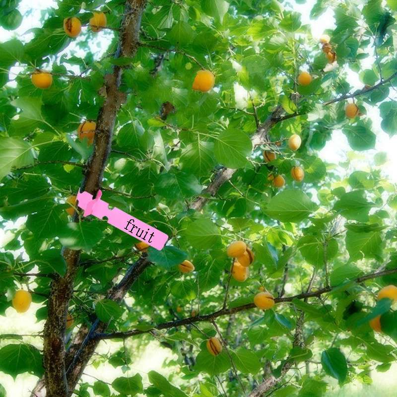 100 PCS Gardening Plant Sapling Seed Hanging Tree Label(White)
