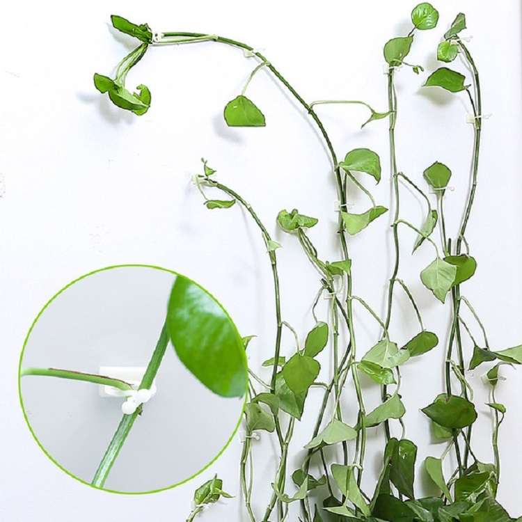 10 PCS Lulu Climbing Wall Fixer Vine Climbing Wall Sticking Hook, Size:Small(White)
