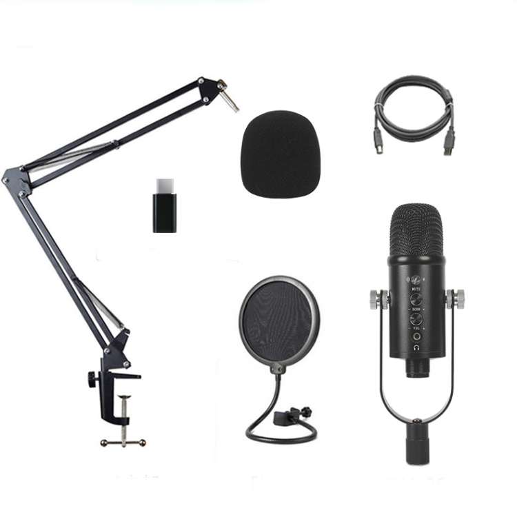 BM-86 USB Condenser Microphone Voice Recording Computer Microphone Live Broadcast Equipment Set, Spe