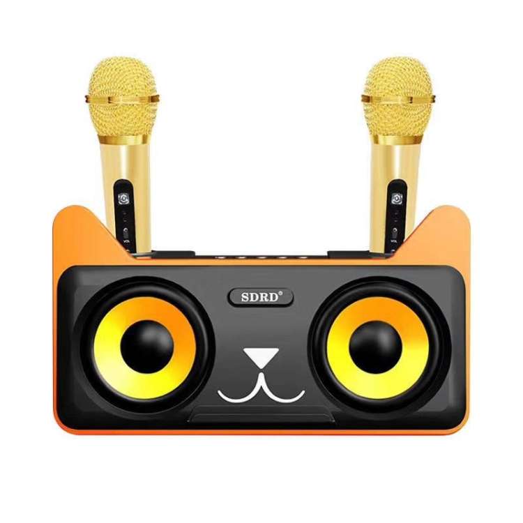 SDRD SD-305 2 in 1 Family KTV Portable Wireless Live Dual Microphone + Bluetooth Speaker(Black)