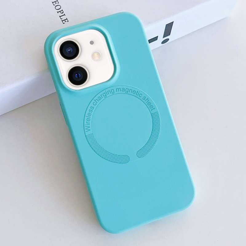 For iPhone 11 MagSafe Magnetic Liquid Silicone Phone Case(Sea Blue)