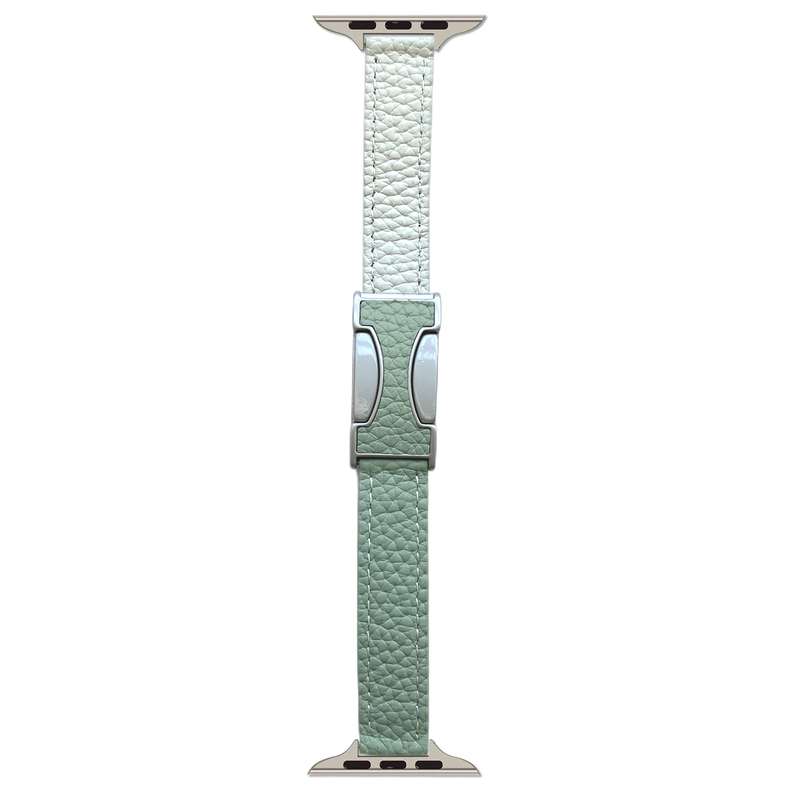 For Apple Watch 42mm / 41mm / 40mm / 38mm 14mm Magnetic Buckle Litchi Leather Watch Band