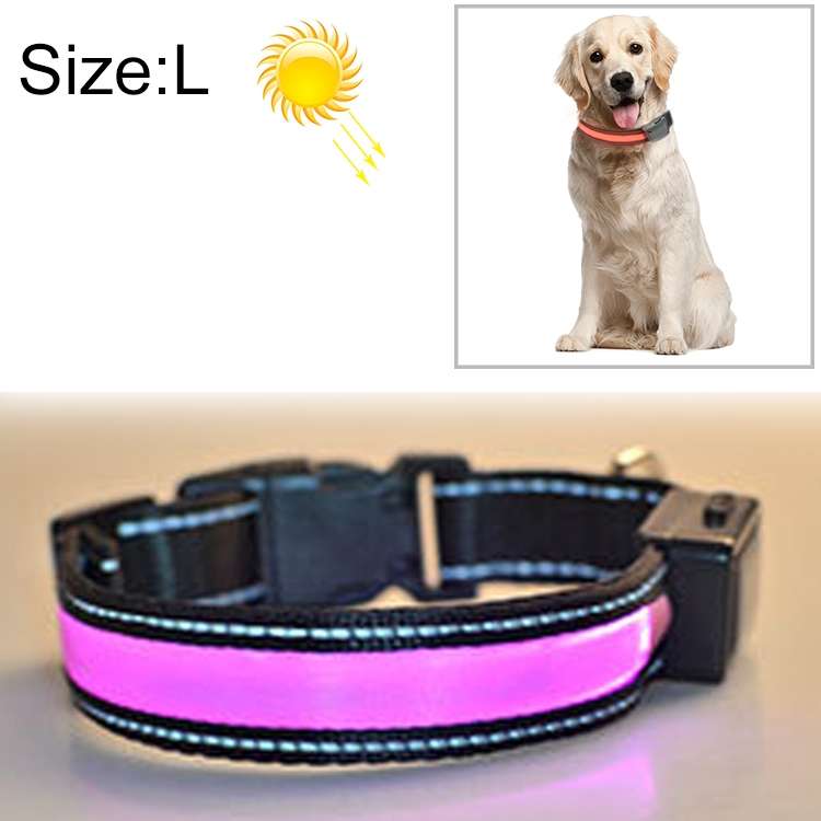 Medium and Large Dog Pet Solar + USB Charging LED Light Collar, Neck Circumference Size: L, 50-60cm(