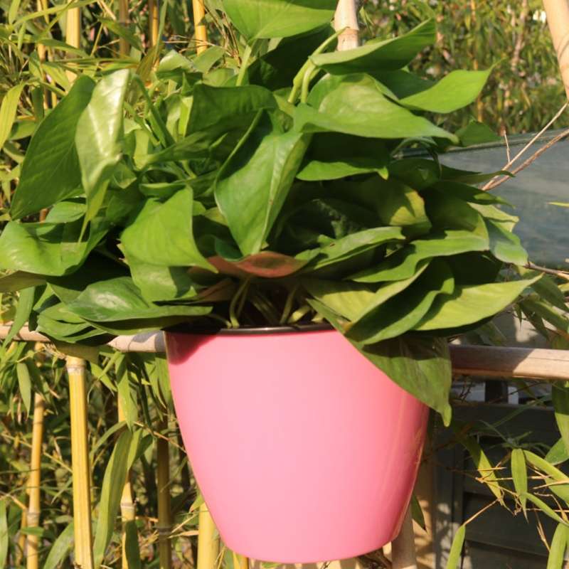 Self-Watering Planter Grow Plants Lazy Flower Pots Wall-hanging Round Resin Plastic Flower Pots, Siz