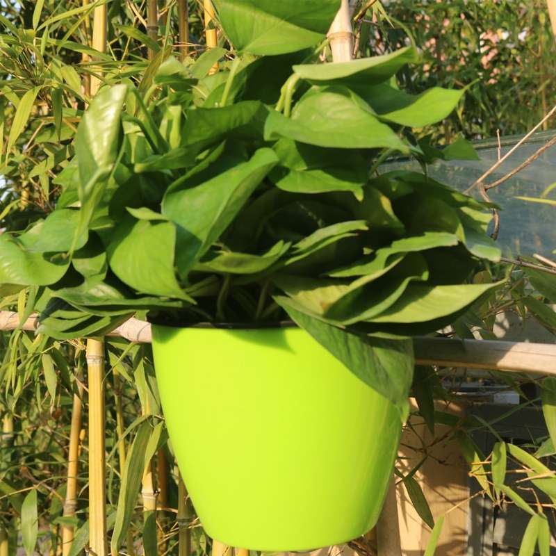 Self-Watering Planter Grow Plants Lazy Flower Pots Wall-hanging Round Resin Plastic Flower Pots, Siz