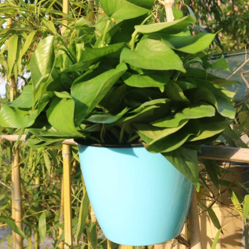 Self-Watering Planter Grow Plants Lazy Flower Pots Wall-hanging Round Resin Plastic Flower Pots, Siz