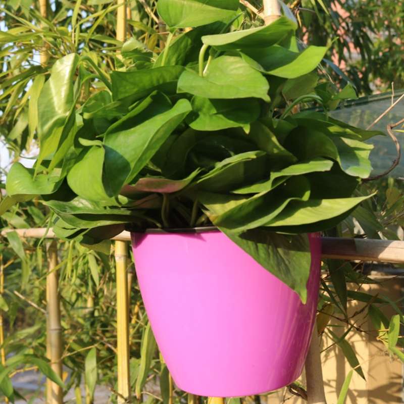 Self-Watering Planter Grow Plants Lazy Flower Pots Wall-hanging Round Resin Plastic Flower Pots, Siz