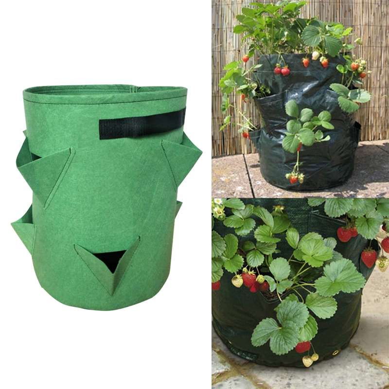 3 Pockets 18L / 5 Gallon Non-woven Felt Strawberry Planting Bag, Size: 23X28cm(Green)