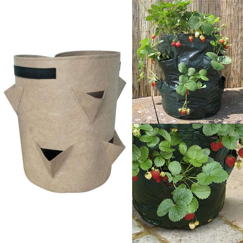 3 Pockets 18L / 5 Gallon Non-woven Felt Strawberry Planting Bag, Size: 23X28cm(Green)